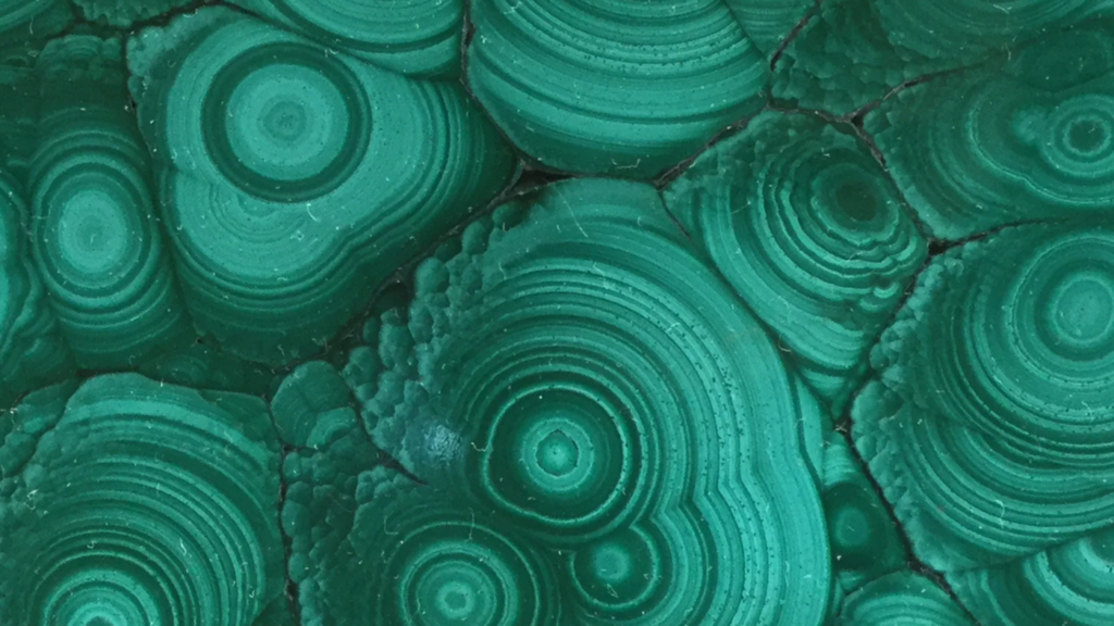 Close-up of a malachite slice with concentric banded patterns in shades of green.
