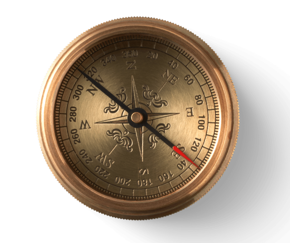 the-magnetic-compass-naturalist-s-guide