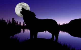 Silhouette of a wolf howling at a full moon in a twilight wilderness setting.