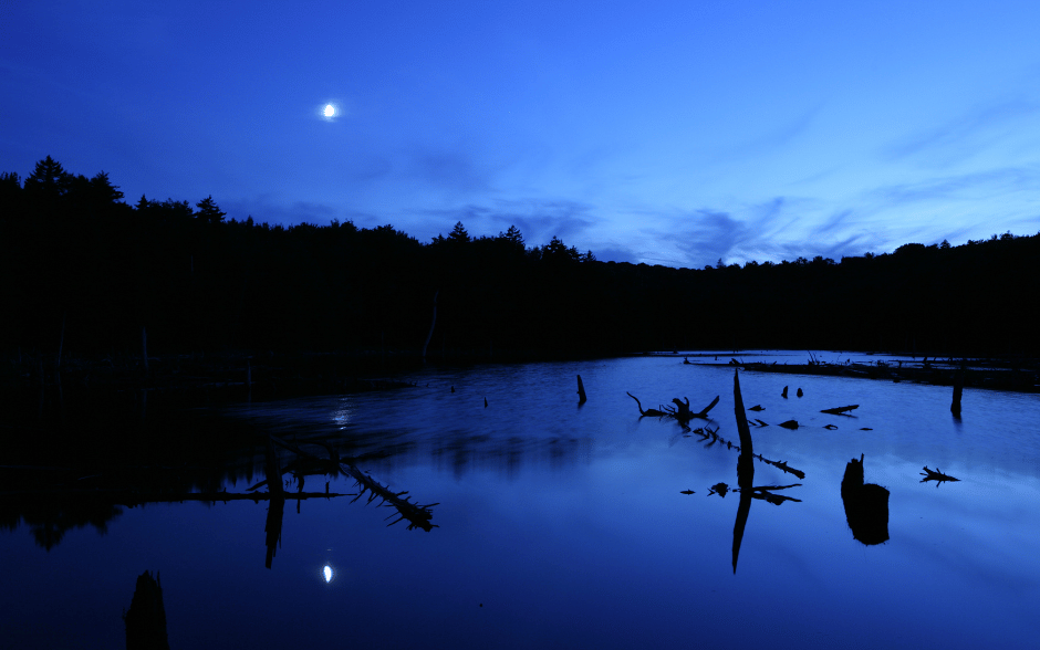 The serene Moon reflecting on a calm beaver lake under a dusky blue sky.