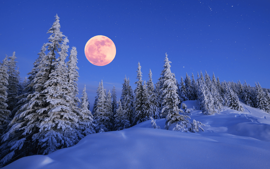 The 'Snow Moon' illuminating a serene snow-covered forest under a starlit sky.