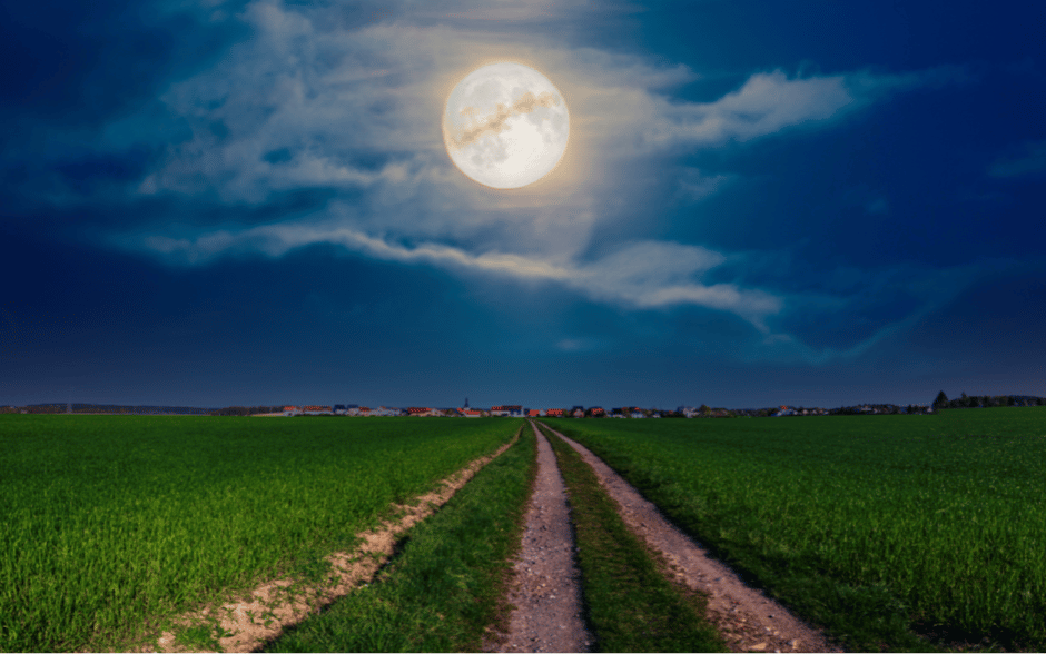 The Strawberry Moon of June casting a warm glow over a verdant countryside path.