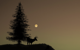 The Buck Moon rising above a serene landscape, symbolizing the time when new antlers emerge on deer bucks in July.