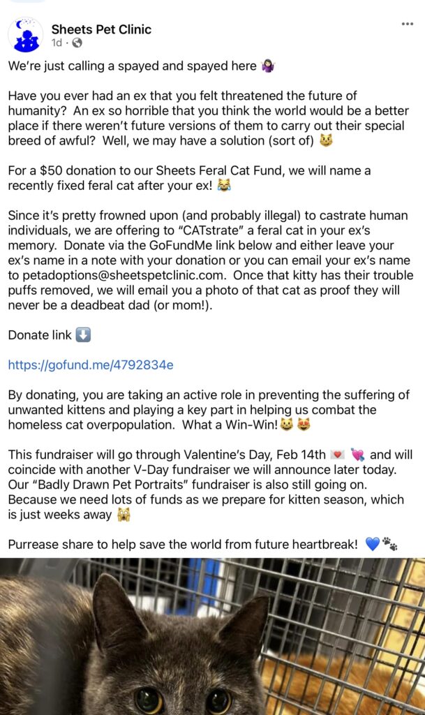 feral cat fundraiser