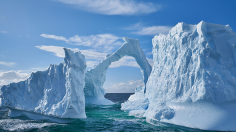 Antarctica is one of the driest places on Earth – Naturalist's Guide