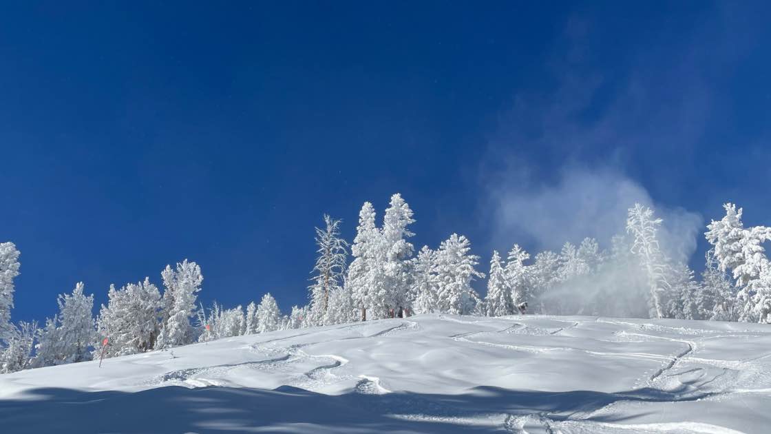 what is a bluebird day